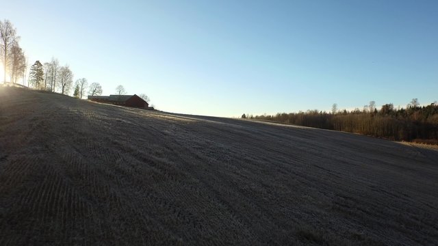 Frozen Field