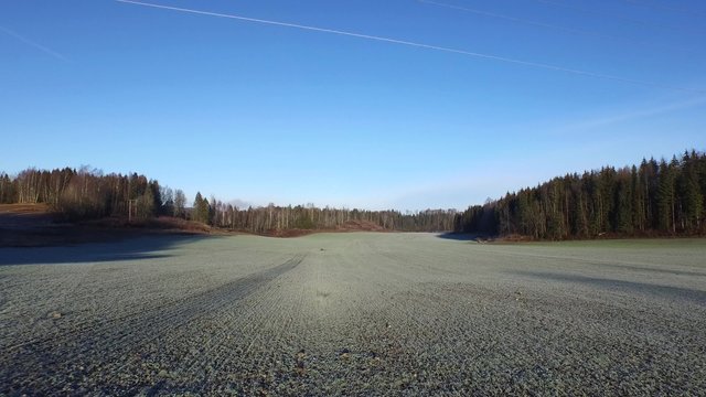 Frozen Field