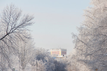 Восьмиэтажка в Черниковке среди деревьев, покрытых инеем и снегом, Уфа