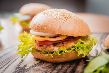 Beautiful big hamburger