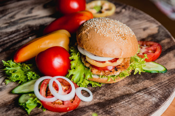 Beautiful big hamburger
