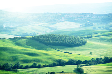 landscape in Tuscany, Italy