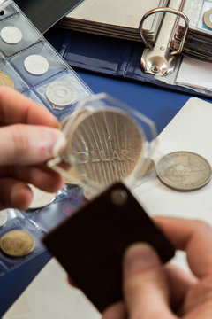 Numismatist examines  collection of coin