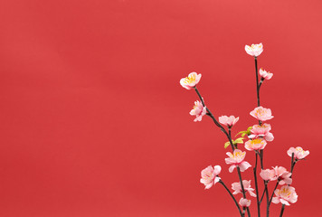 Fototapeta na wymiar Chinese new year's decoration for Spring festival