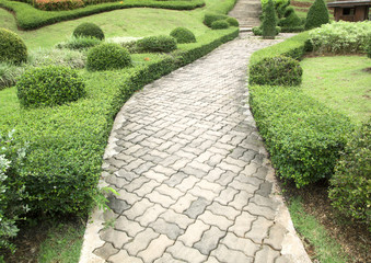 Pathway in a Peaceful Green Park