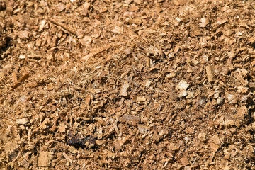 Sawdust back ground in shade of sunlight
