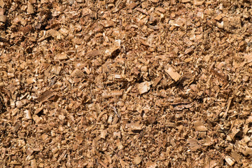 Sawdust back ground in shade of sunlight