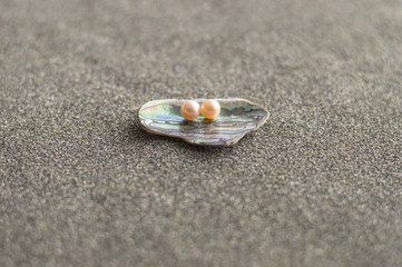 Two natural genuine pink water pearls in the sea shell on the sand   