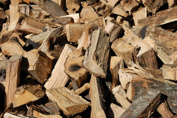 piles of firewood