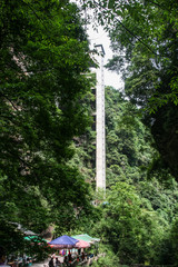 the scenery of Bifengxia in Sichuan Province ,China