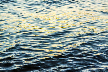 Water Ripple Texture