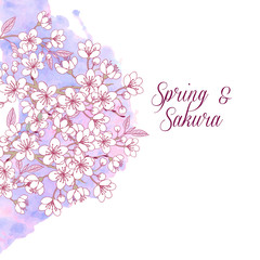 Sakura