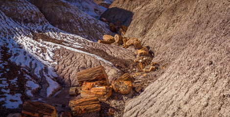 Fototapeta premium Little painted desert landscapes.
