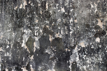 white concrete wall texture