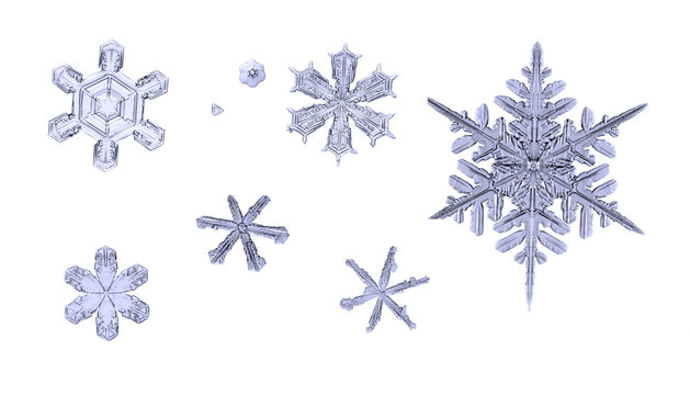 set of natural snowflakes isolated on white background macro closeup