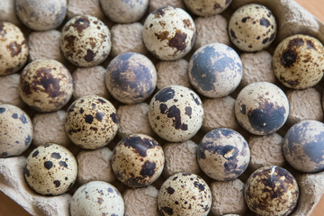 Quail eggs in a  container package on wooden background