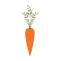 плоская иконка: морковь