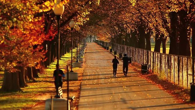 Static shot of a pedestrian walkway at the National Mall in Washington DC