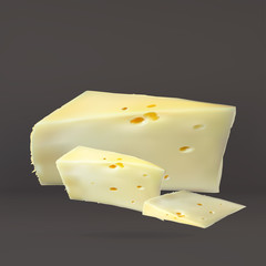 cheese slices, with holes cut, isolated, realistic vector