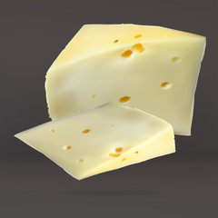 cheese slices, with holes cut, isolated, realistic vector