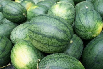 Closeup of watermelon, Many big watermelons