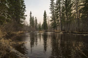 Obraz premium Beautiful view of the river in Siberia