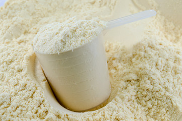 Whey Protein