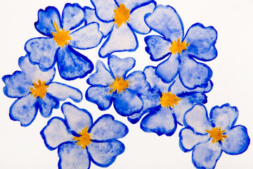 blue flowers water color