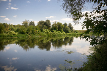 Fototapeta na wymiar Green Forest and River
