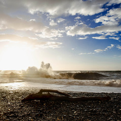 trunk on the beach with rough sea