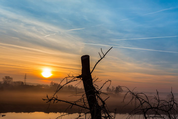 Fototapeta Konar na tle wschodzącego słońca obraz