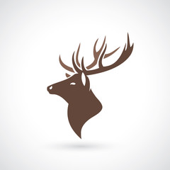 Fototapeta premium Deer head 