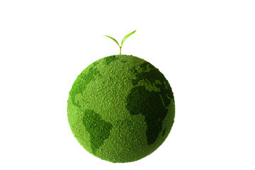 sprout on the green globe