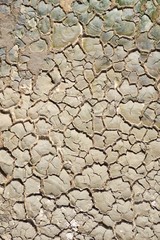 dry cracked soil texture background