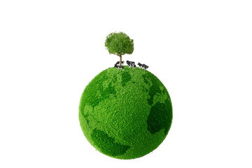 cow on  the green globe