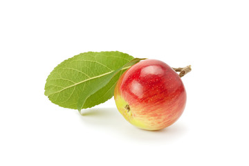red apple with green leaf