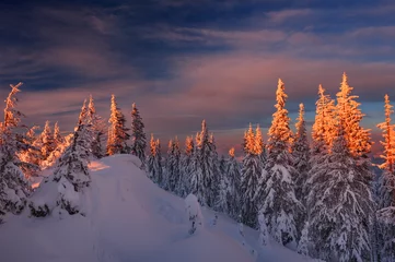 Selbstklebende Fototapeten landscape © Ivan Kmit