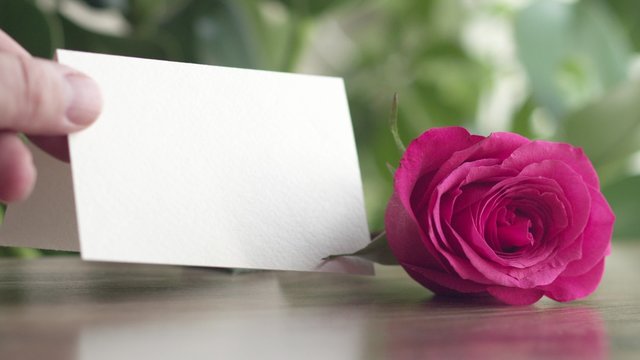Man's hand puts a greeting card with a rose on the table. St. Valentine's Day