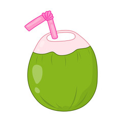 coconut isolated illustration on white background
