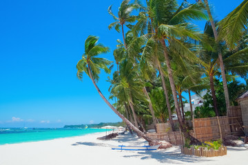 Beautiful tropical white sand beach