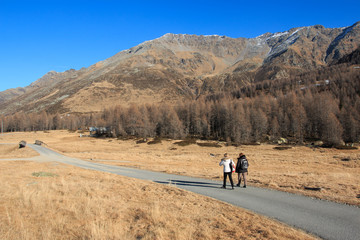 paesaggio invernale senza neve a Motta Alta - Medesimo