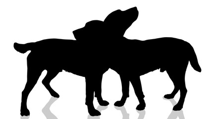 Vector dogs silhouette.