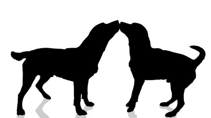 Vector dogs silhouette.