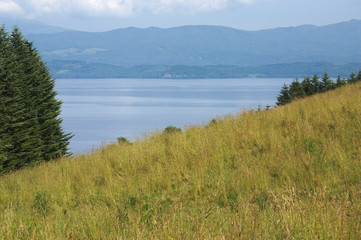 Fototapeta na wymiar 牧草の丘と湖
