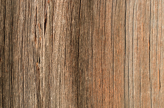 Tło drewniane © Filip Olejowski