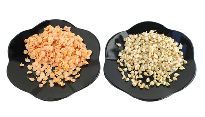 sprouts of lentil and buckwheat seeds on plates, on white isolated