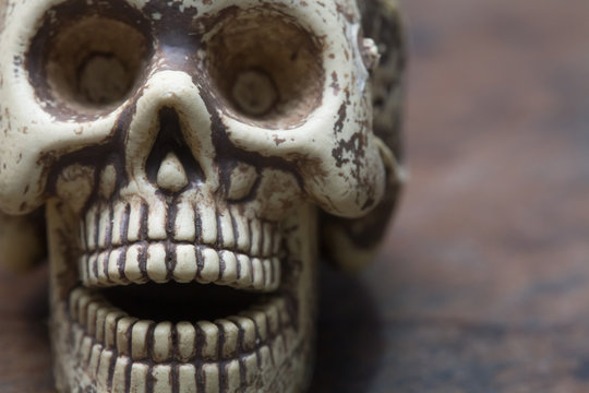 human skull and pills on old wood background,Healthy care  conce