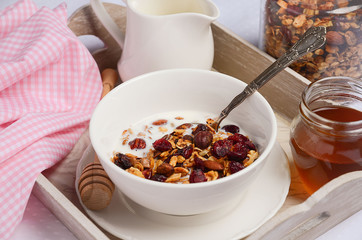 Homemade granola with nuts and dried cranberries with milk and honey. Horizontal permission. Selective focus