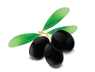 olives for your design