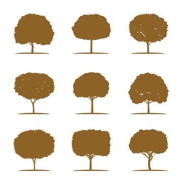 Set of Golden Trees. Vector Illustration.